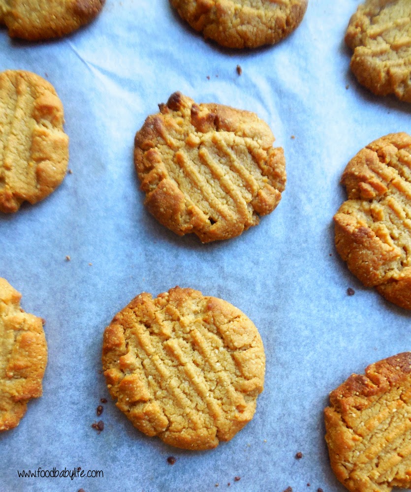 5 Ingredient Gluten Free Flourless Peanut Butter Cookies © www.foodbabylife.com