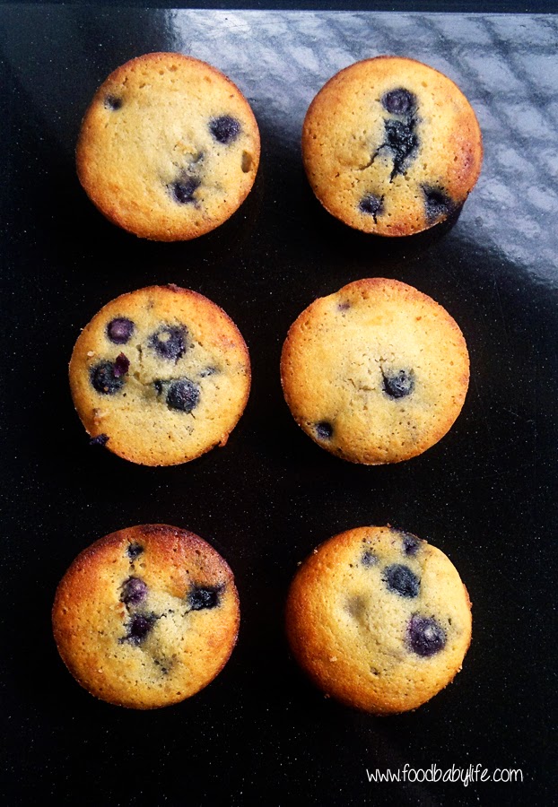 Coconut Flour Blueberry Muffins © www.foodbabylife.com